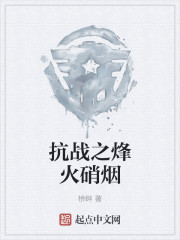 抗战之硝烟