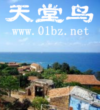 天堂鸟