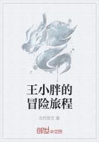 王小胖的冒险旅程