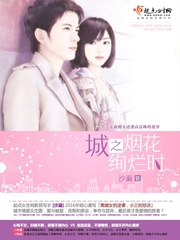 城之烟花绚烂时