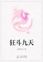 狂斗九天