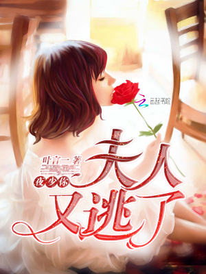 夜少你夫人又逃了