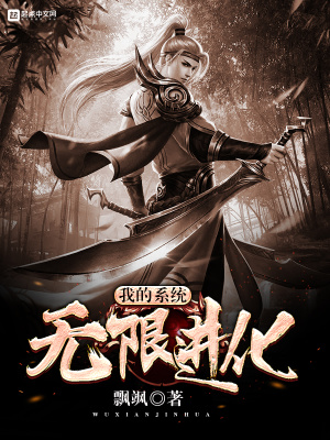 我的系统无限进化