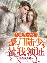 大闹渣男婚礼，豪门陆少扯我领证