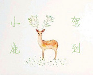 小鹿驾到