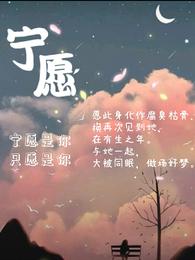 宁愿