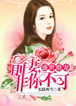 盛世婚宠：前妻，非你不可