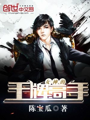 女神的王牌高手