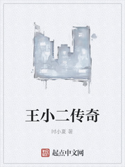 王小二传奇