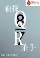 侦探Q与杀手R