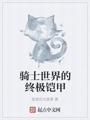 终极铠甲