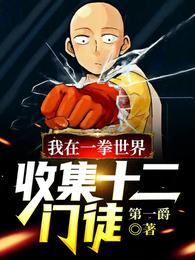 我在一拳世界，收集十二门徒