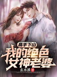 高手下山，我的绝色女神老婆