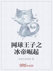 网球王子之冰帝崛起