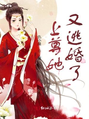 上尊她又逃婚了