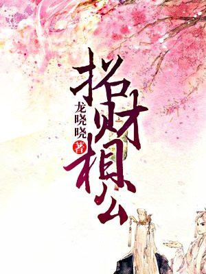 招财相公