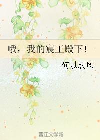 哦，我的宸王殿下!