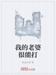我的老婆很能打
