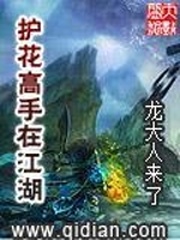 护花高手在江湖