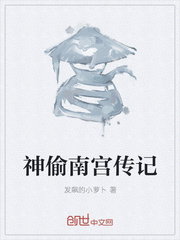 神偷南宫传记