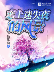 恋上迷失夜的风景