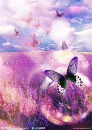 斗龙战士之熠诺真情