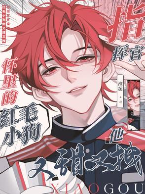 指挥官怀里的红毛小狗他又甜又拽