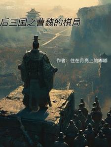 后三国之曹魏的棋局