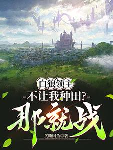 领主：新势力的崛起