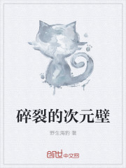 碎裂的次元壁