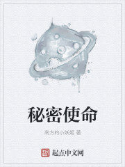 秘密使命