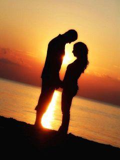 千秋一叶叶千秋