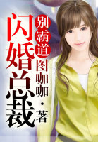 闪婚老公别霸道