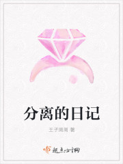 分离的日记