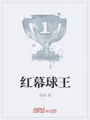 红幕球王