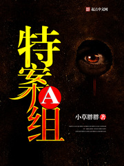 特案组