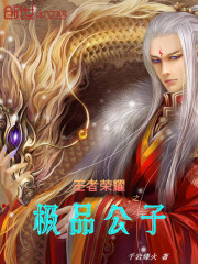 王者荣耀之极品公子
