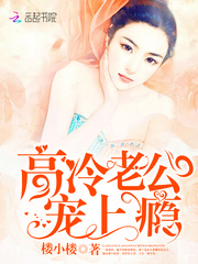 高冷老公，宠上瘾！