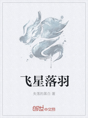 飞星落羽