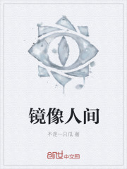 镜像人间