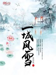 一城风雪