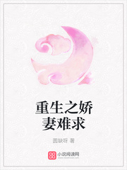 重生之娇妻难求