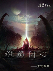 魂殇问心