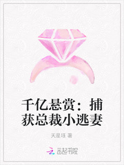 千亿悬赏：捕获总裁小逃妻