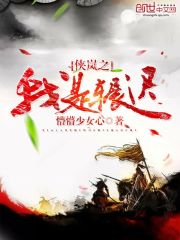 侠岚之我是辗迟