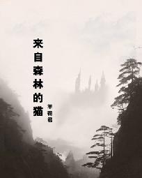 欢乐大森林