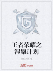 王者荣耀之涅槃计划