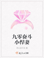 九零奋斗小悍妻