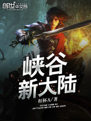 峡谷新大陆