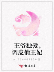 王爷独爱，调皮俏王妃